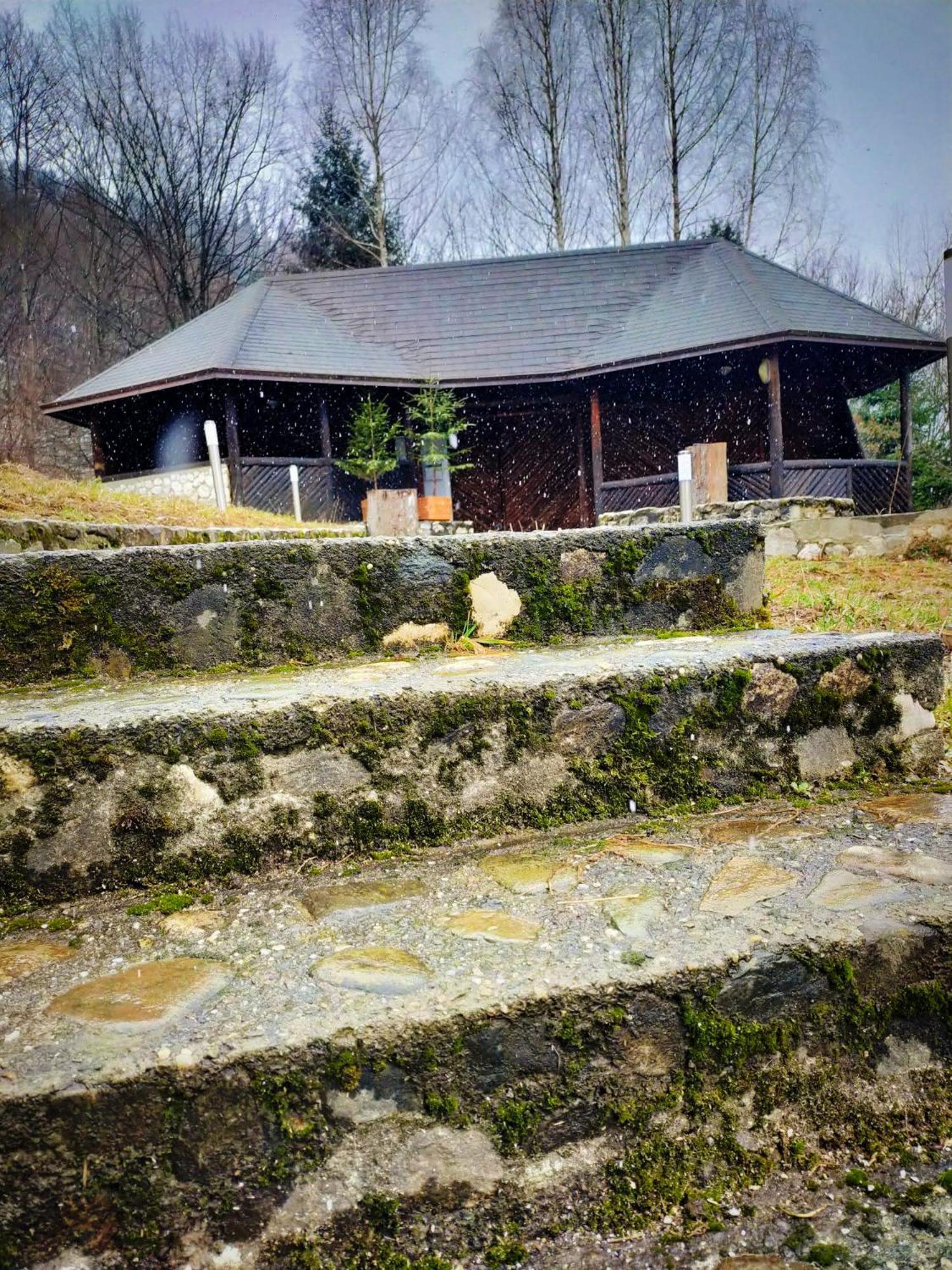 Villa & Spa 4Temporadas - Plaiul Foii Zărneşti 외부 사진